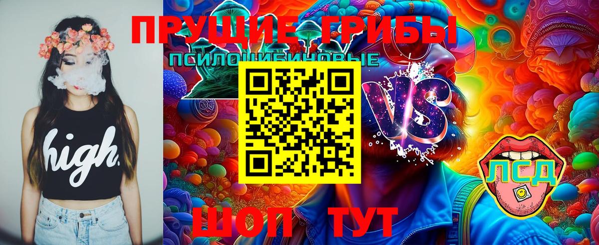 Псилоцибиновые грибы Psilocybe  Вход с VPN  Саки 