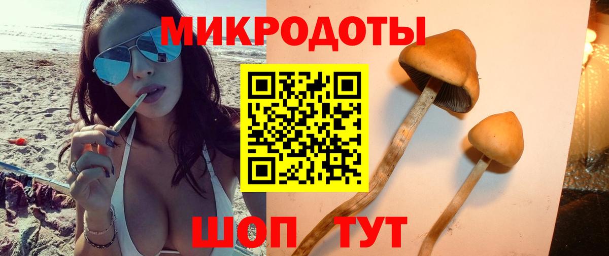 Псилоцибиновые грибы GOLDEN TEACHER Саки